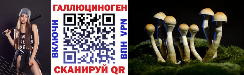 Галлюциногенные грибы прущие грибы  сайты даркнета Telegram  Уфа  как найти  